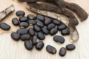 Velvet beans can be beneficial in diabetes