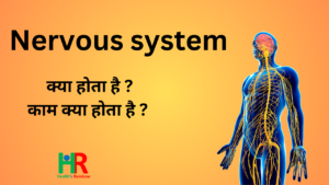 44. Nervous System