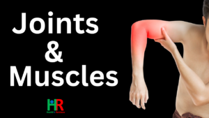 Joint & Muscles